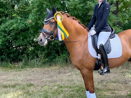 Venustas Crispy Cracker gewinnt die M* Dressur