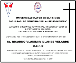 Sr. Ricardo Vladimir