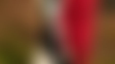 Bob Baker Marionette at Oaks Picnic June 7th - 11:30am – 2:30pm