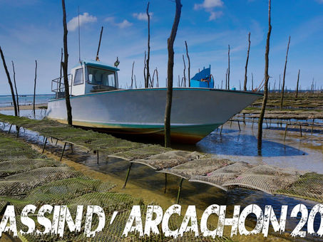 Bassin d'Arcachon 2015