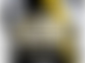 PlayOffs2 PRVB-Martigues