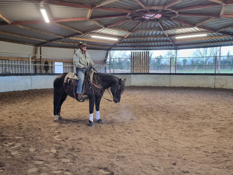 Roper's reining training continues at Bullhorn Ranch.