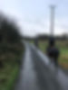 trail ride.jpeg