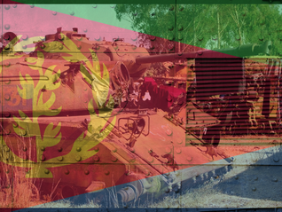 Silencing Voices: The Suppression of Human Rights in Eritrea