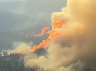 Wildfire Activity Surges Across the Southern United States