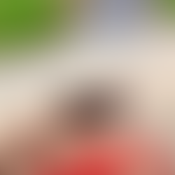 Have you ever seen a butterfly play with a puppy? Knock that off your bucket list!