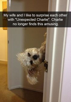 8 Photos To Make You LOL - Joseph Bonner