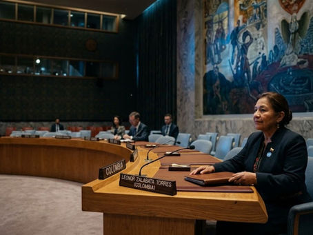 Security Council Adjusts Priorities Amid Funding Shortfalls and Transition Framework