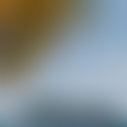 Mexico: Cruise Passenger Fee Sparks Controversy