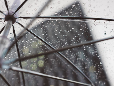 Umbrella Etiquette: Sharing Shelter With Grace on a Rainy Day