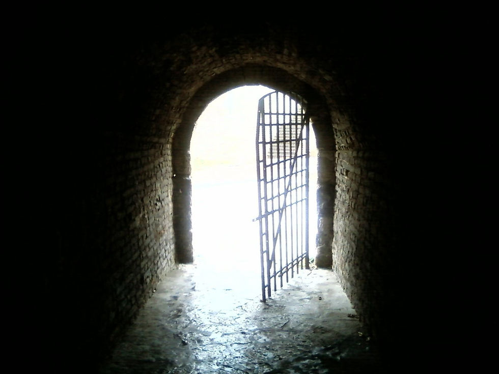 Why I Treat Rejection as Information, Not a Verdict