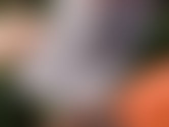 Missing Children: Operation "Safe Return"