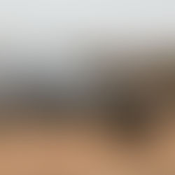 US Launches Christmas Day Airstrikes on Militant Targets in Nigeria