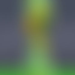 Kansas City Sees Massive Gains from 2026 World Cup Investments