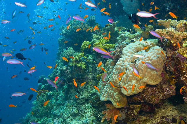 1.Great Barrier Reef