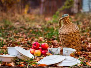 FAR Wishes You a Happy Thanksgiving