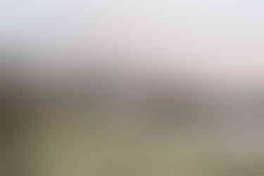 Couple walking through sand dunes in front of mountain by the beach in Raglan New Zealand on a family photoshoot