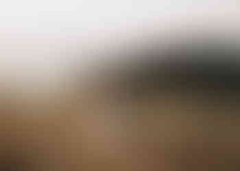 Couple kissing during photography at sunset in Raglan