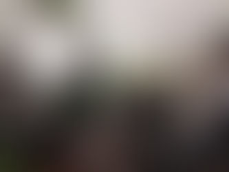 Rueda de prensa por el colectivo 
FRENTE UNIDO POR HUENTITÁN