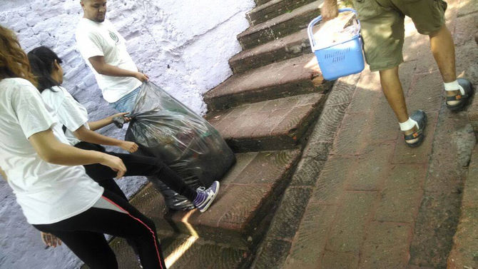 Atención Integral de las áreas verdes