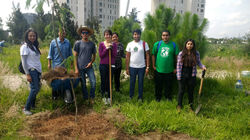 IMG_20170819_113059792