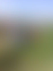 Reforestación del #‎BosquePedagógicodelAgua