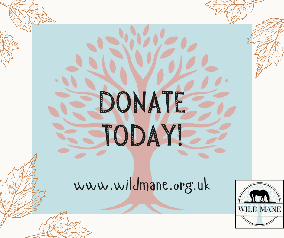 Donate Today_20260521_221354_0000.png