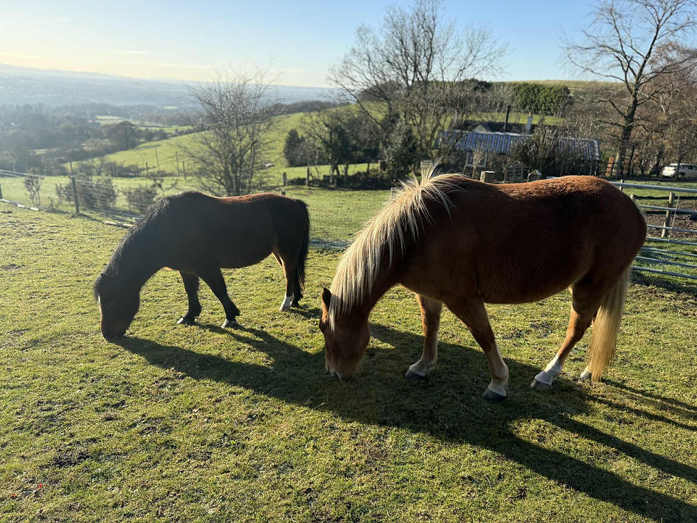 805a9c5a-7620-4f05-99a9-e618382bd40e (1).jpeg