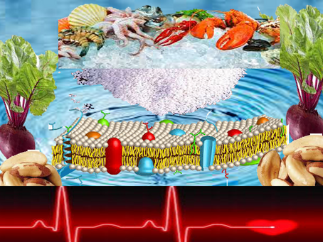 Alimentação e equilíbrio eletrolítico