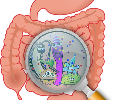 Intestinos : conceitos antigos e atuais