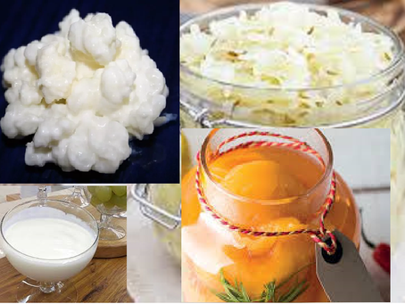 Alimentos funcionais: fontes de probióticos