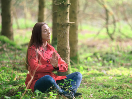 Qi Gong im Wald: Energetische Reinigung & Rückkehr zum inneren Gleichgewicht