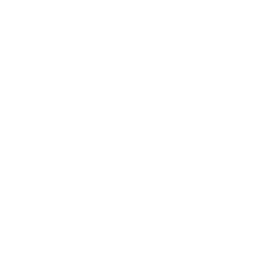 bao-white.png