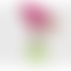 When sport redefines who represents beauty