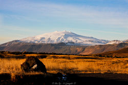 Snæfellsjökull