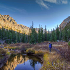 bushwacking interior gore range