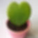 Hoya Heart Green Small Succulent Plant