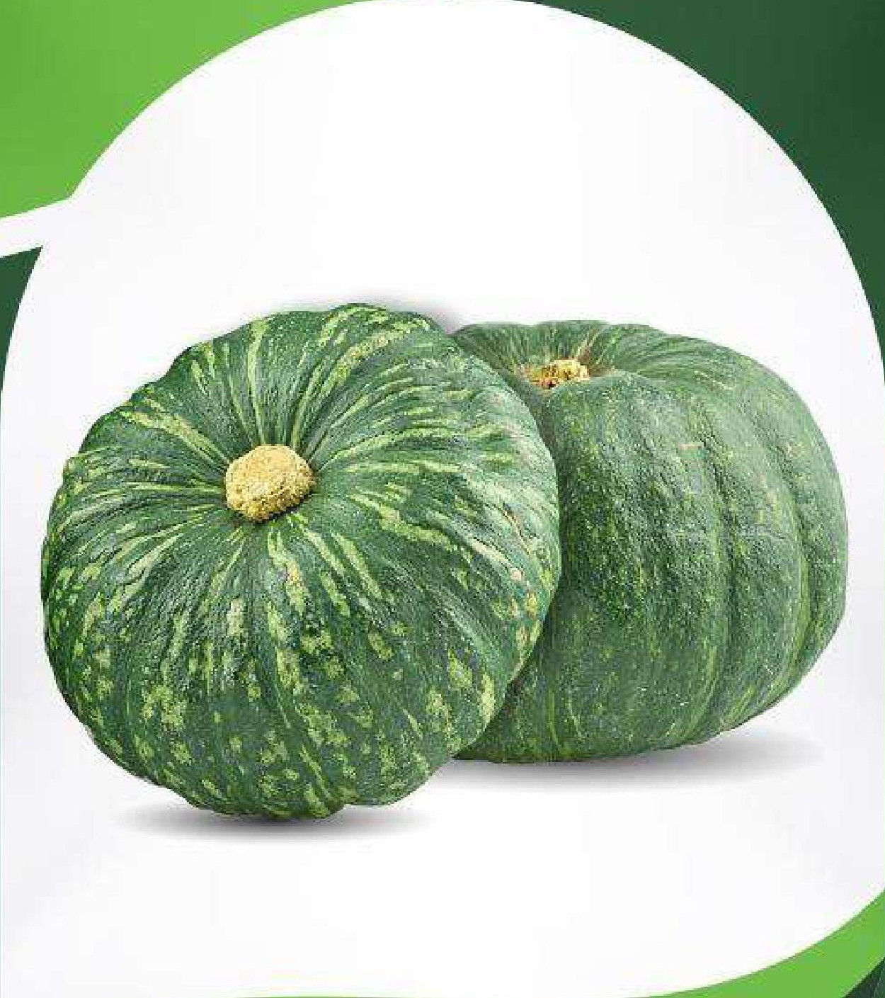 Hero Bite Hybrid Pumpkin Seeds - 3 Gm