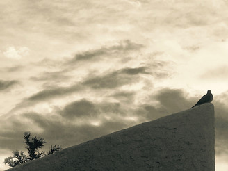 The Winds of Grace