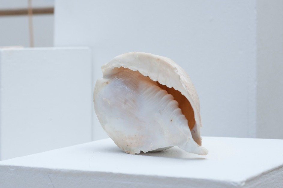 -From Without And From Within_Kunstpavil