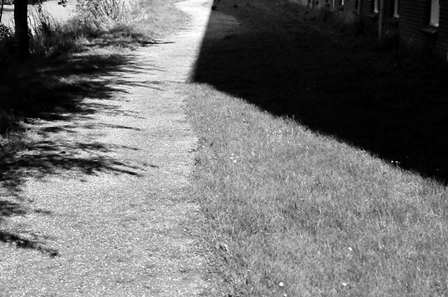 © Marie-Louise van Dijk photography