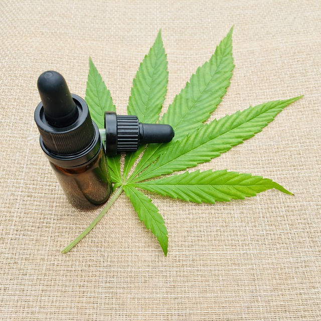 CBD, Hemp oil, konopie w kosmetyce