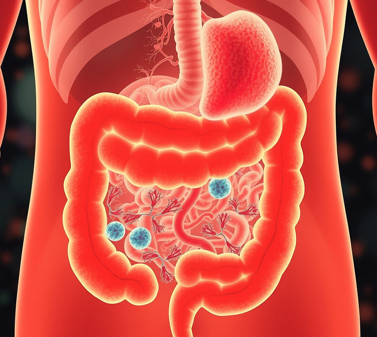 The Gut-Brain Connection: How Diet Affects Mood and Memory