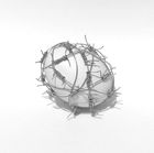 ovo, arame farpado, arte, art, arte contemporanea, fotografia, arte objeto