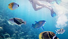 Snorkeling