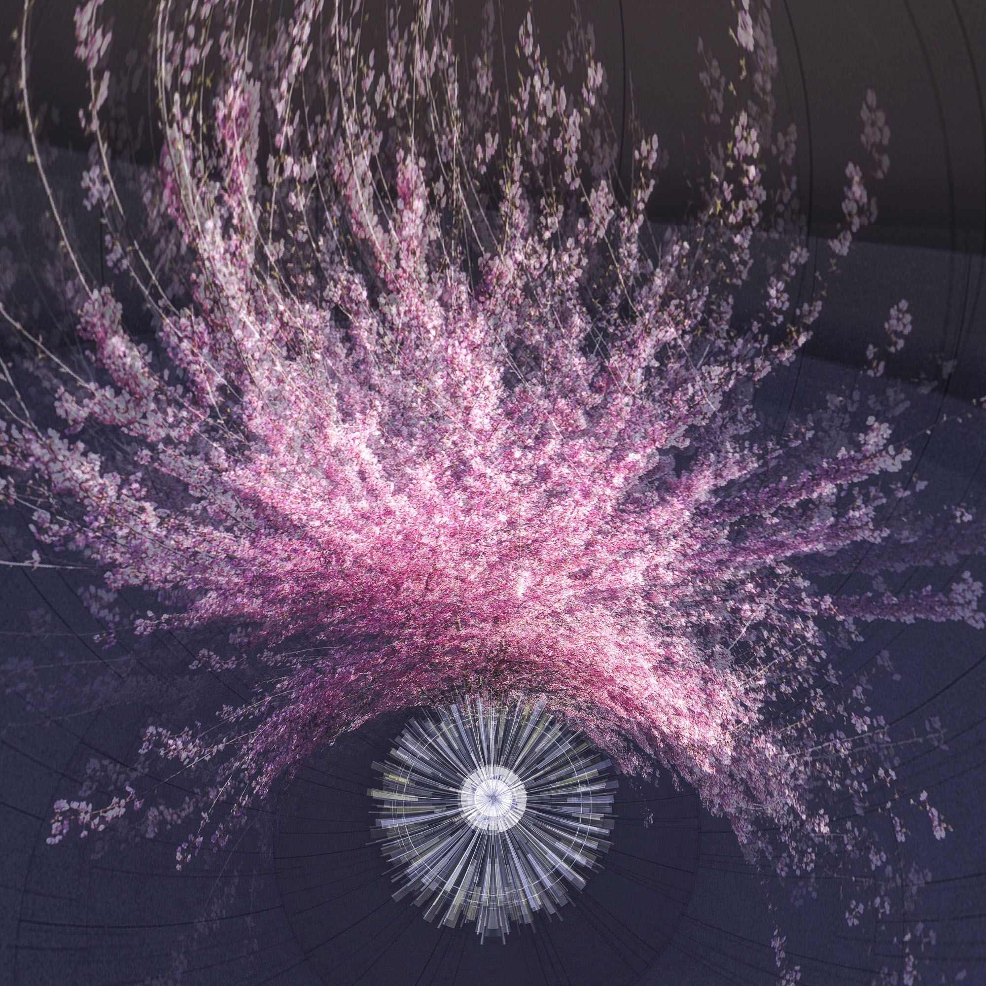 Cycles de vie - Eveil 16