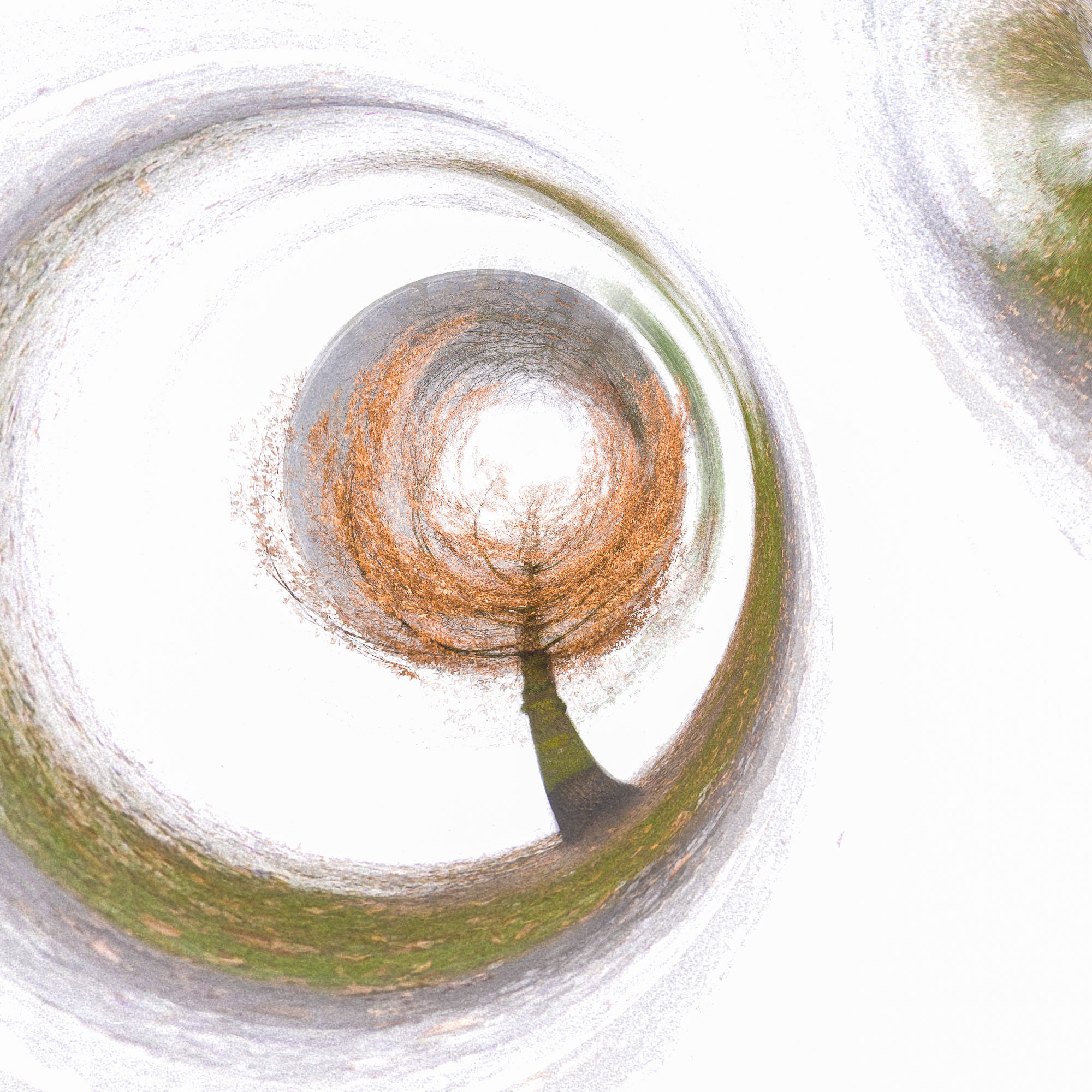 Cycles de vie - Sommeil 17