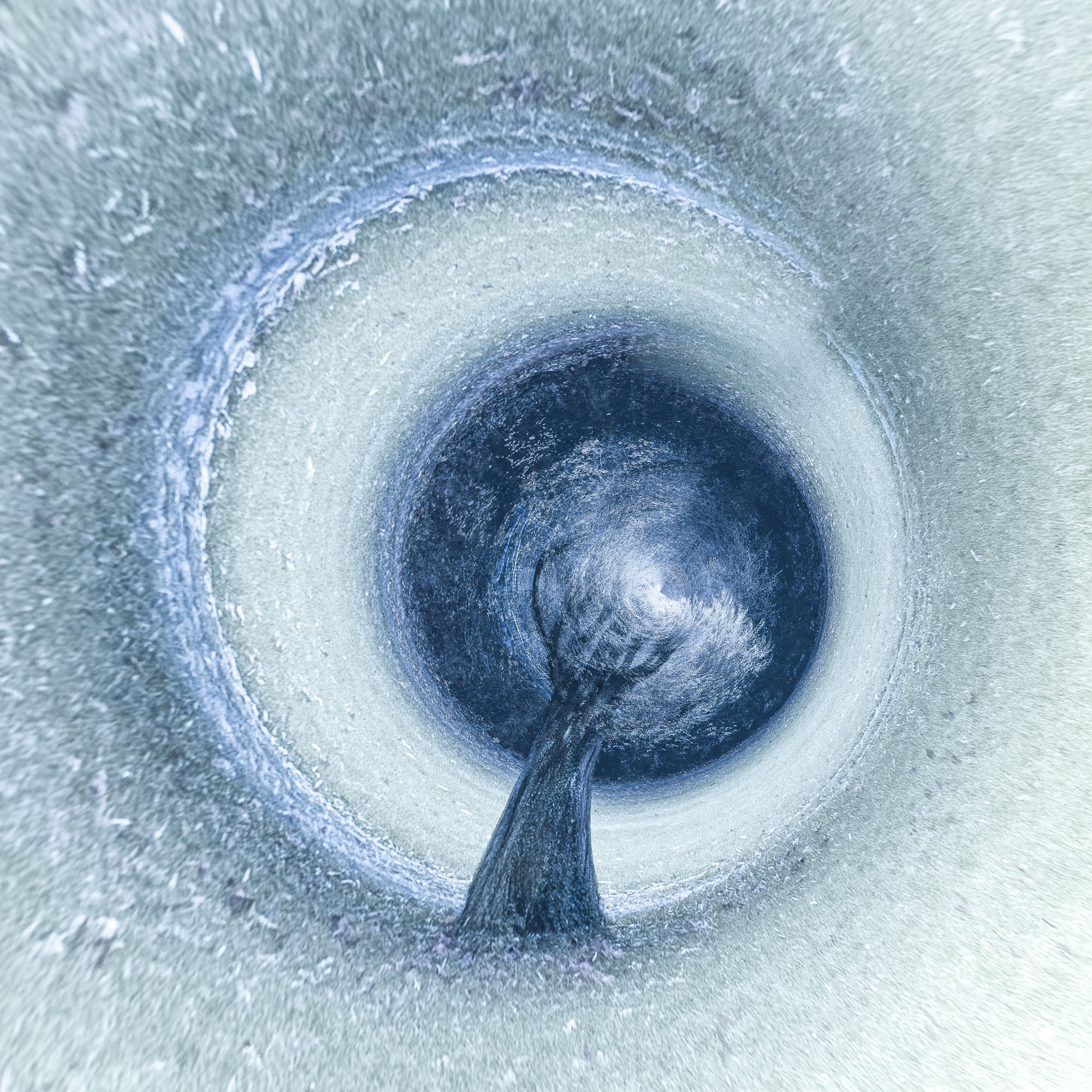 Cycles de vie - Sagesse 20