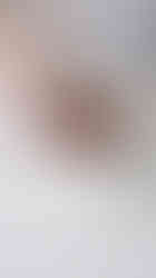 Spices into sultana tea