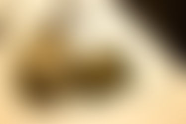 Trend update // Ambiente